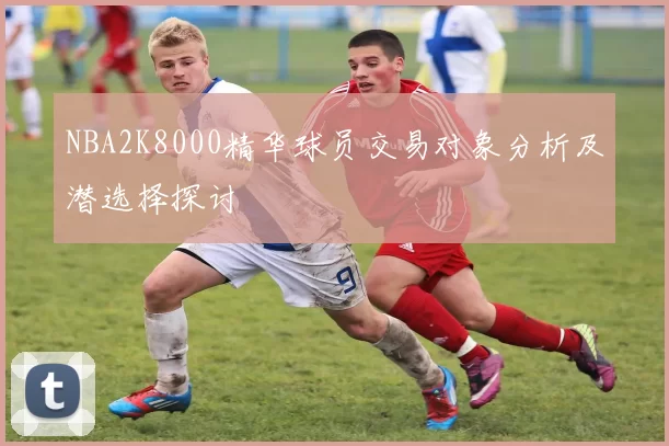 NBA2K8000精华球员交易对象分析及潜选择探讨