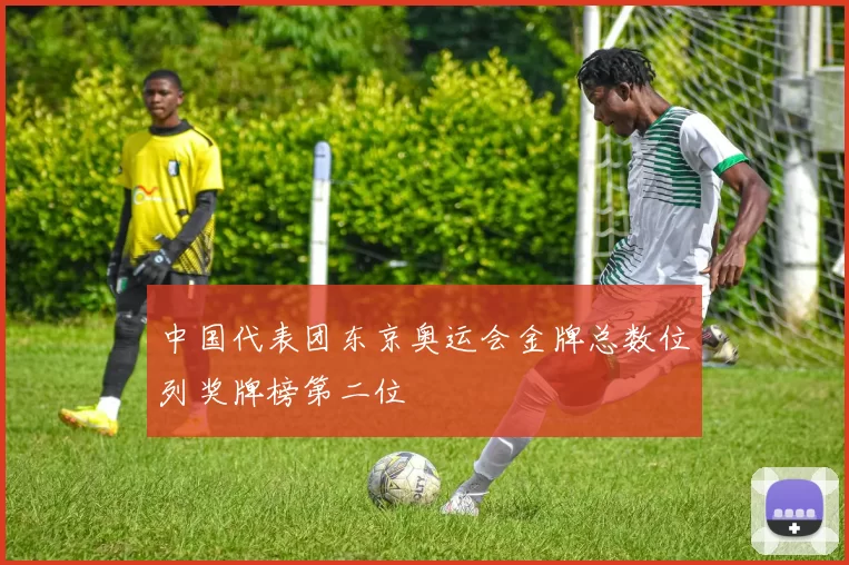 中国代表团东京奥运会金牌总数位列奖牌榜第二位