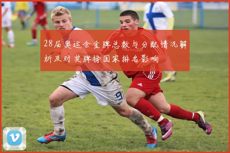 28届奥运会金牌总数与分配情况解析及对奖牌榜国家排名影响