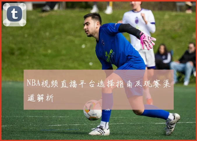 NBA视频直播平台选择指南及观赛渠道解析