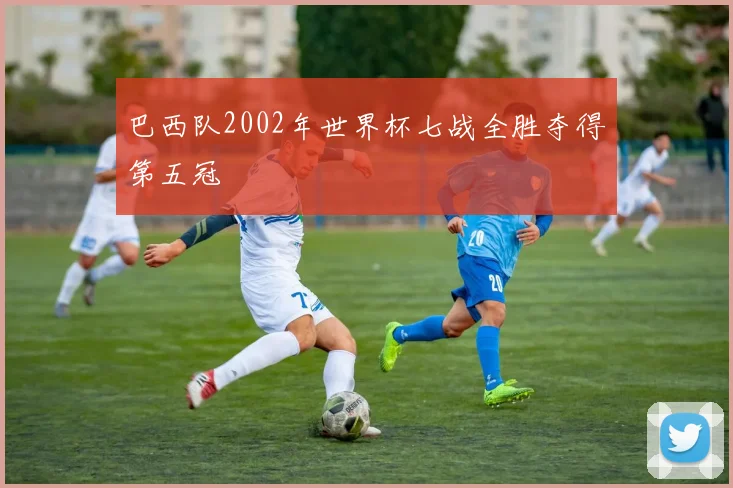 巴西队2002年世界杯七战全胜夺得第五冠