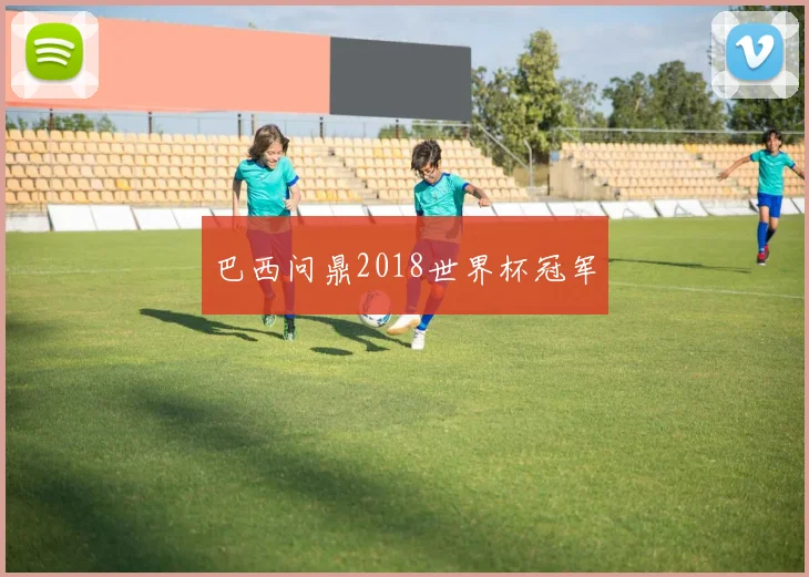 巴西问鼎2018世界杯冠军