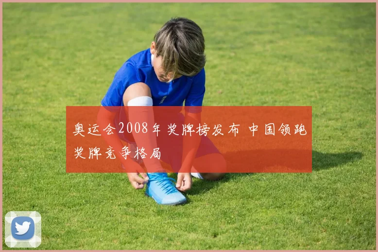 奥运会2008年奖牌榜发布 中国领跑奖牌竞争格局
