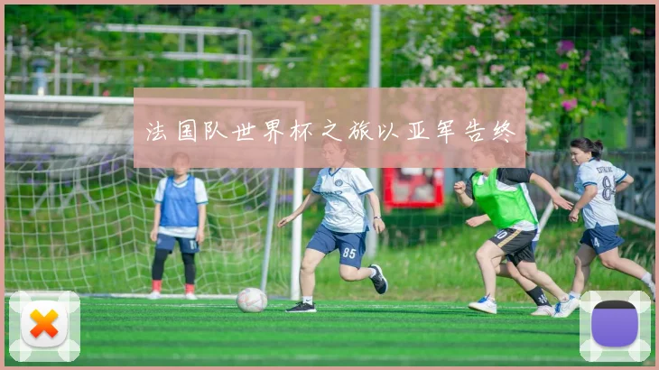 法国队世界杯之旅以亚军告终